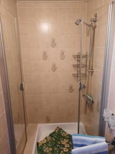 een badkamer met een douche en een bad bij FeWo Min Egen in Neukirchen in Neukirchen