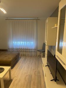 Μια τηλεόραση ή/και κέντρο ψυχαγωγίας στο Apartament incantator in Roman +13 φωτογραφίες