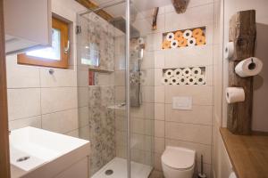 een badkamer met een douche, een toilet en een wastafel bij Vineyard cottage Sonce in Šentvid pri Stični