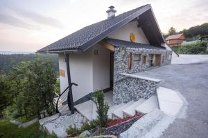 een klein huis met een zwart dak bij Vineyard cottage Sonce in Šentvid pri Stični