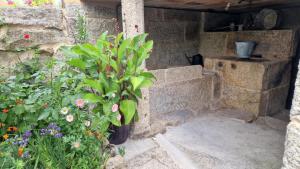 Zahrada ubytování Casa da Penela
