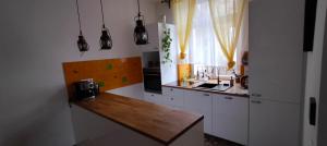Kuchyň nebo kuchyňský kout v ubytování Apartment Spielberk