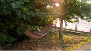 Vonkajšia záhrada v ubytovaní H.A.N.D Surf Hostel
