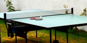 una mesa de ping pong con una pelota de ping pong. en Mera Hills House, en Mera