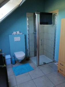 uma casa de banho com um chuveiro e um WC. em Gîte Ferme d'hurtaux em Froid-Chapelle
