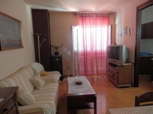 a living room with a couch and a tv at Apartments Vesna & Ivica in Mirce