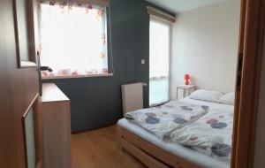 um quarto com uma cama e uma janela em Apartamenty rodzinne U Zośki em Łukęcin