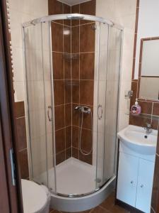 um chuveiro na casa de banho com um WC e um lavatório em Apartamenty rodzinne U Zośki em Łukęcin