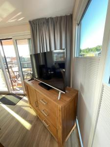 TV en un tocador en una habitación con ventana en Hausboot Vroni am Bärwaldersee en Klitten
