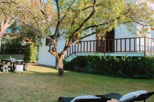 Zahrada ubytování Just Like Home - Casa da Sebe em Moledo