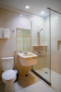 a bathroom with a toilet and a sink and a shower at Hotel Valencia in Valencia