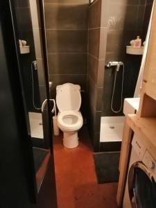 a bathroom with a toilet and a sink at Appartement de 28 m2, centre station les 2 alpes in Les Deux Alpes