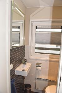 een badkamer met een wastafel en een spiegel bij Hausboote am Bärwalder See Traumhaus-mieten in Klitten