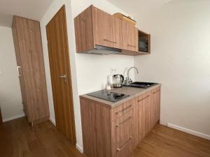 a small kitchen with wooden cabinets and a sink at Apartmotel ANROE 