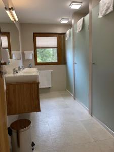 a bathroom with a sink and a mirror at Apartmotel ANROE in Chminianska Nová Ves +51 photos