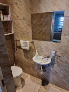 a bathroom with a toilet and a sink and a mirror at Dolphins Self-Catering Accommodation in George +19 photos