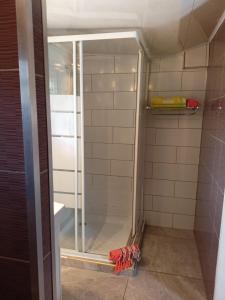 eine Dusche mit Glastür im Bad in der Unterkunft Petite fleur de lentilles in Cilaos