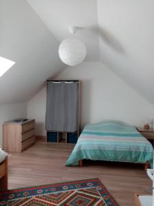 um quarto com uma cama com uma cortina e um tapete em Logement indépendant em Amboise