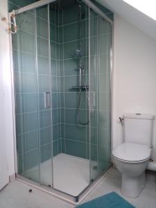 uma casa de banho com chuveiro e WC em Logement indépendant em Amboise