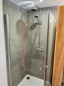 a shower with a glass door in a bathroom at Ferienwohnung mit Terrasse und Sauna in Ortenberg