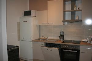 Kuchyň nebo kuchyňský kout v ubytování Apartment Privlaka 12957a