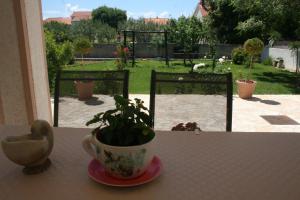 Zahrada ubytování Apartment Privlaka 12957a