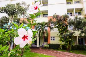 una flor blanca delante de un edificio en Udoncabana, en Udon Thani