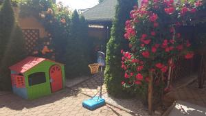 Fotografie z fotogalerie ubytování Pensiunea Dunavis v destinaci Oršava + 47 fotografií