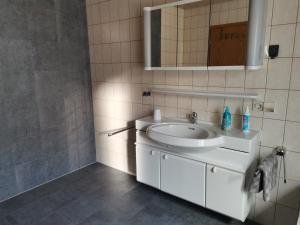 Ένα μπάνιο στο Ferienwohnung am Bodensee Heiligenberg +21 φωτογραφίες
