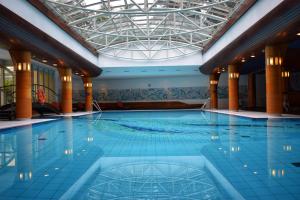 City Hotel Dresden Radebeul في راديبول: مسبح في فندق بسقف
