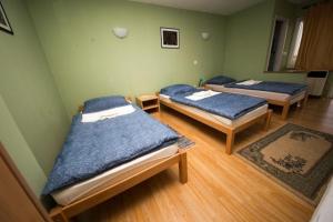 duas camas num quarto com lençóis azuis em Rooms with a parking space Tordinci, Slavonija - 15159 em Tordinci