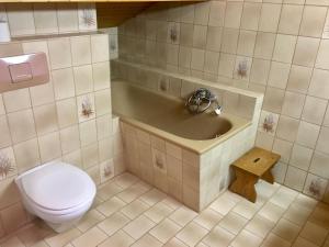 a bathroom with a toilet and a sink at Ferienwohnung am Chiemsee in Übersee