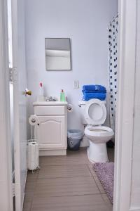 uma casa de banho com um WC, um lavatório e um espelho. em Gallo Condo 33/downtown/8st em Miami