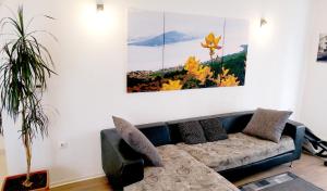 Fotografia z galérie ubytovania Family friendly house with a swimming pool Slatine, Ciovo - 15149 v Slatine