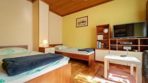 um pequeno quarto com duas camas e uma televisão em Holiday house with a parking space Lokve, Gorski kotar - 18226 em Delnice