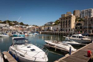 a group of boats are docked in a harbor at *Brand New* Olive Grove Cottage in Torquay
