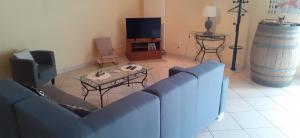sala de estar con sofá azul y TV en La grange de Ninon en La Chapelle-Saint-Martin-en-Plaine