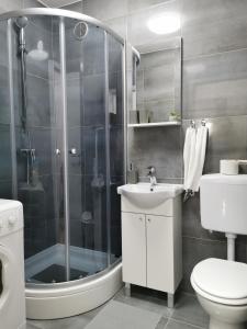 a bathroom with a shower and a toilet and a sink at Apartman Andro in Samobor