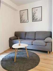 a living room with a couch and a table at Apartman Andro in Samobor