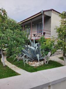 Zahrada ubytování guest house TSVARA
