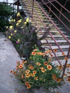 Zahrada ubytování guest house TSVARA
