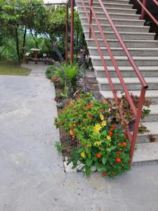 Zahrada ubytování guest house TSVARA
