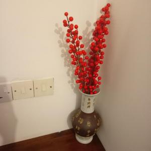 南威的住宿－卡洛塔民宿，一张桌子上装满红浆果的花瓶