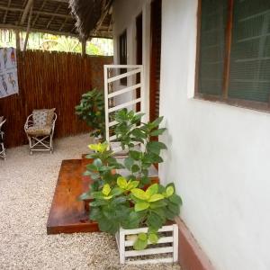 einem Holztisch mit Pflanzen neben einem Gebäude in der Unterkunft Casa Carlotta & Villa in Nungwi