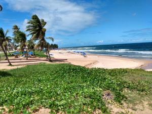 a beach with palm trees and the ocean at Casa em Village com piscina e perto da praia in Salvador