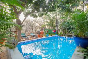 a swimming pool in a yard with trees at Wielewaal Bush Lodge in Marloth Park