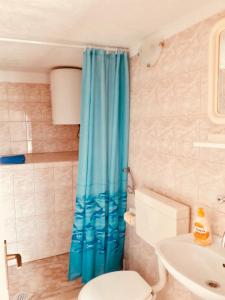a bathroom with a blue shower curtain next to a toilet at Apartments with a parking space Sutivan, Brac - 2846 in Sutivan