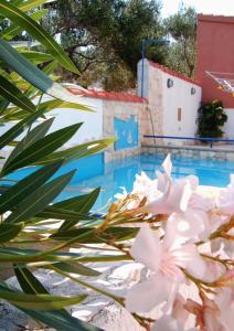 a white flower sitting next to a swimming pool at Apartments with a swimming pool Splitska, Brac - 2889 in Splitska