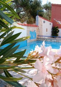 Bazén v ubytovaní Apartments with a swimming pool Splitska, Brac - 2889 alebo v jeho blízkosti