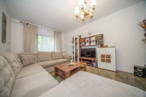 een woonkamer met een bank en een salontafel bij Apartments with a parking space Splitska, Brac - 2857 in Supetar